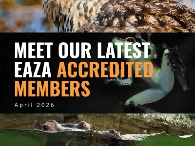 Kölner Zoo – Einer der ältesten und schönsten Zoos Deutschlands