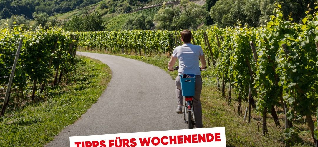 Köln.de – Das offizielle Stadtportal der Domstadt am Rhein